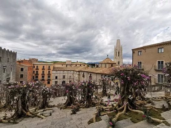 Placa de la Catedral de Girona
