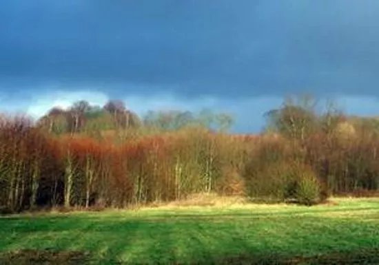Prestwich Forest Park