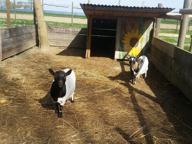 Agriturismo Fondo Madonnina