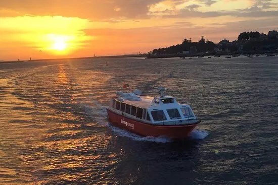 Living Cruise