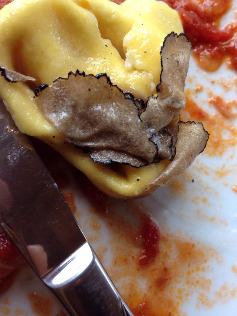 ,Trattoria Pizzeria Scaricalasino