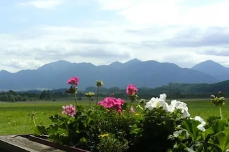 Apartment with a view of the mountains and moor
