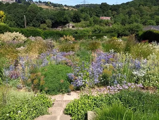 Dove Cottage Nursery and Garden