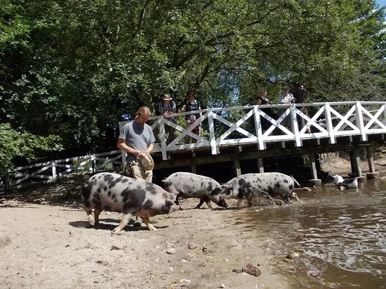 Arche Warder - Zentrum fur seltene Nutztierrassen