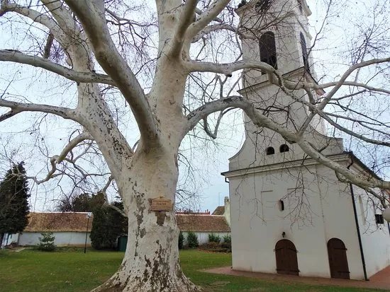 The Lower church from 1718