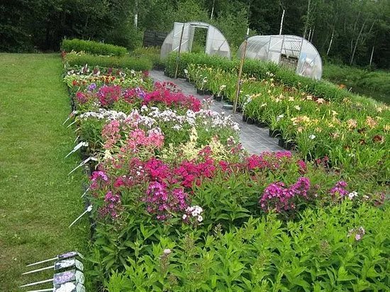Norga Farm Gardens