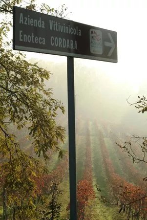 Cordara Vini Azienda Vitivinicola