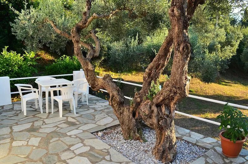 Peace, Privacy and Natural Beauty on Skopelos Island