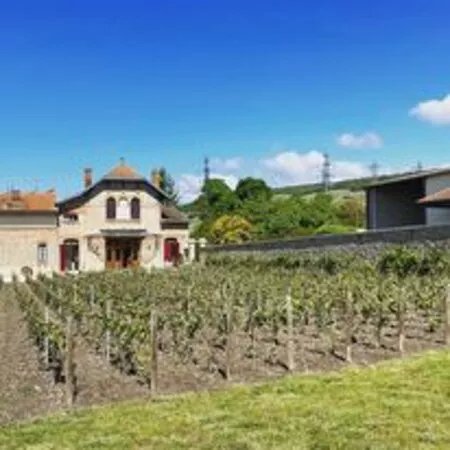 Champagne A. Lete