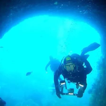 Orca Diving
