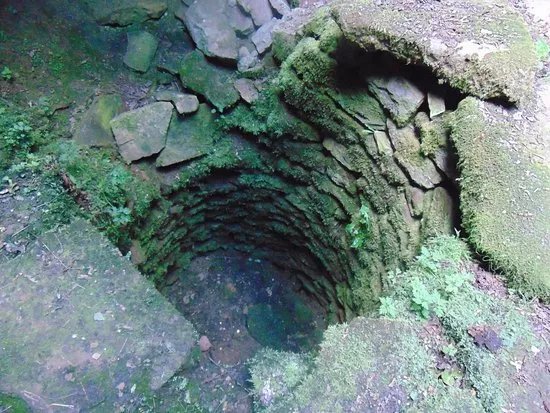 Tample-Well Pusto Garlo