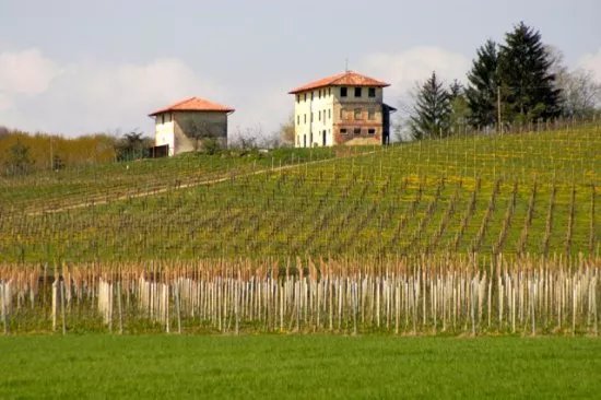 Azienda Agricola Conte Collalto