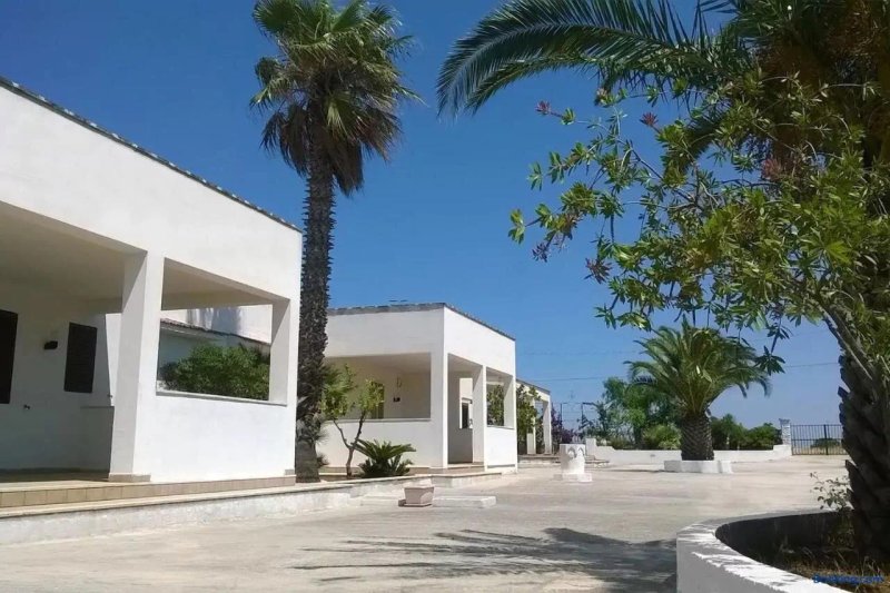 Oasi Tra Gli Ulivi