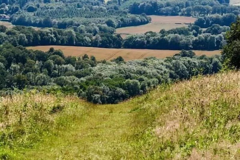WOODHILL COTTAGE, family friendly, with open fire in Holmbury St Mary