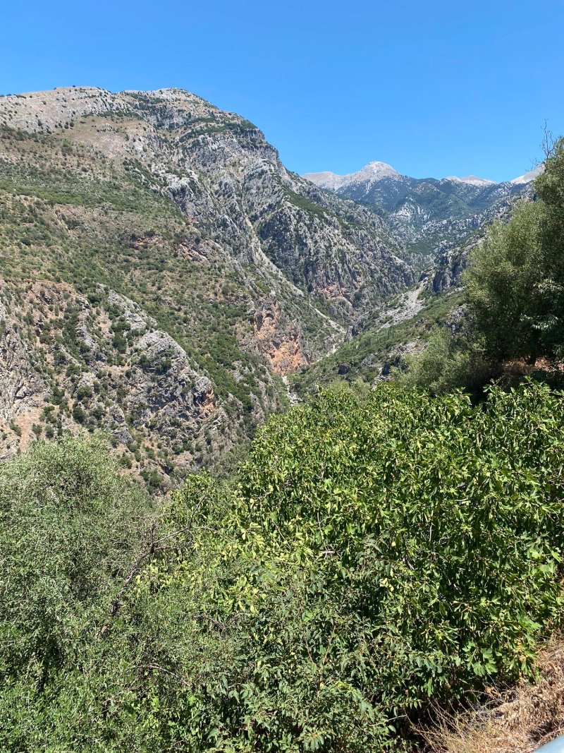 Faraggi