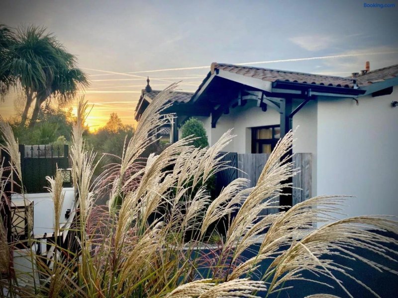 Hôtel Particulier - Les Lodges Du Bassin d'Arcachon