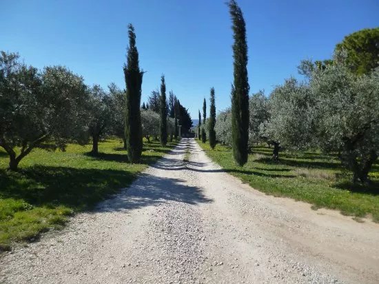 Moulin & Domaine Oliversion