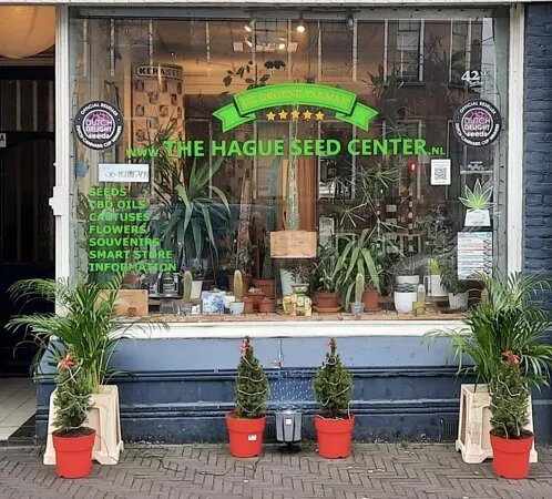 The Hague Seed Center Holland