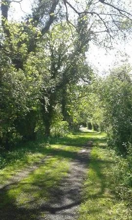 Lagan Lands East