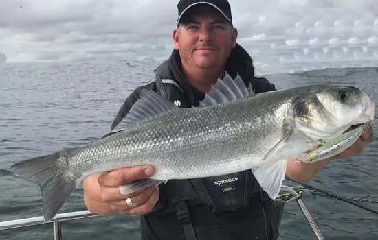 Awesome Fishing