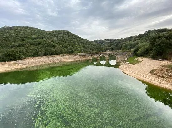 Lago Liscia Area Picnic Li Fichi Cani
