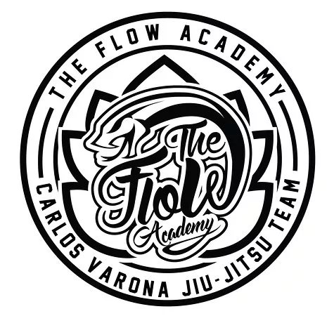 The Flow Academy