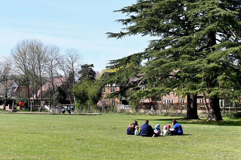 Rectory Meadow
