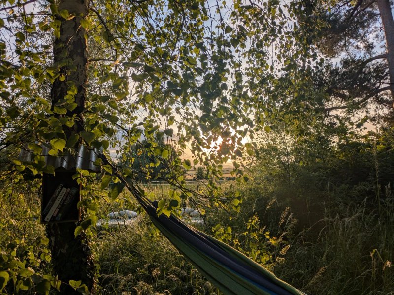 Stargazer Glamping