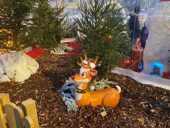 Marche de Noel a le Mans