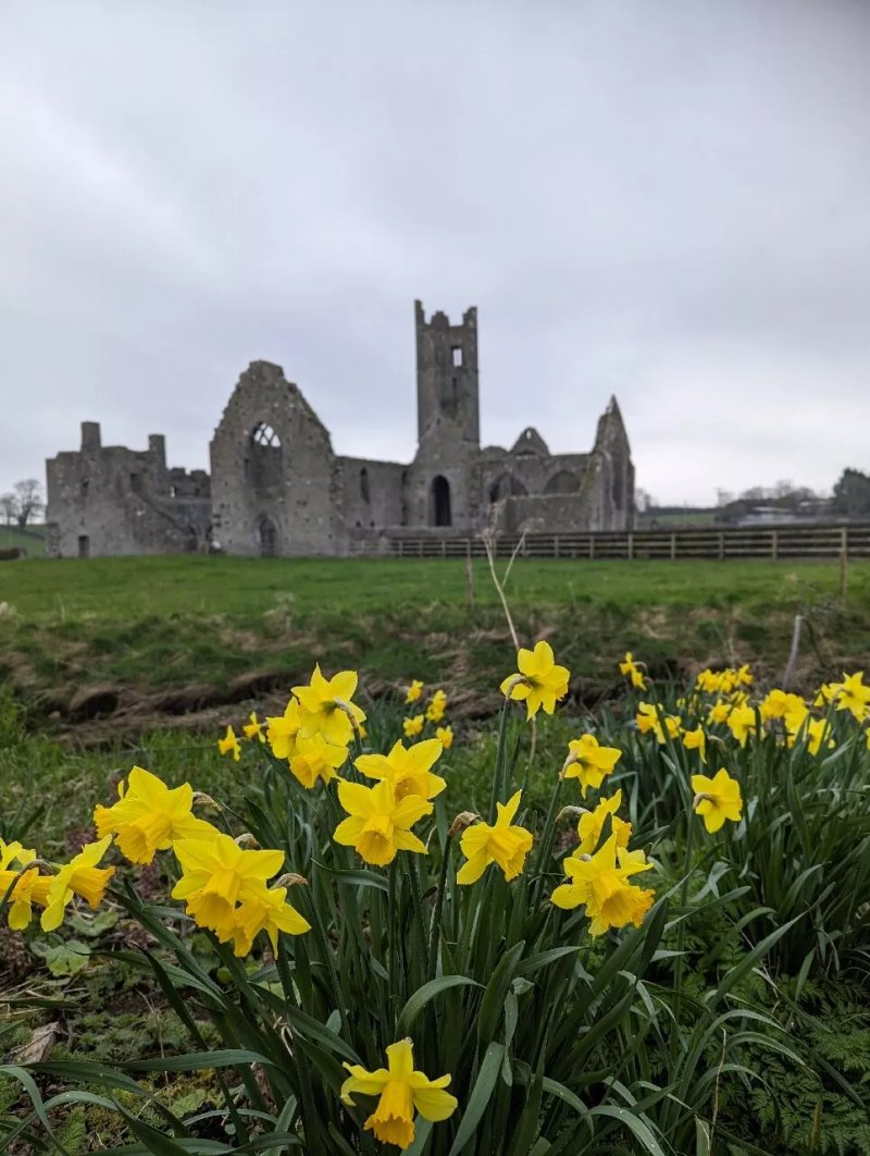 Kilmallock Dominican Abbey