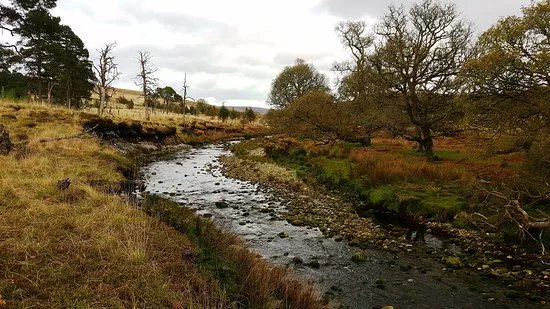 Kippure Education & Adventure