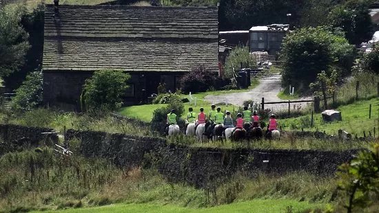 Northfield Farm Horse Riding and Trekking Centre