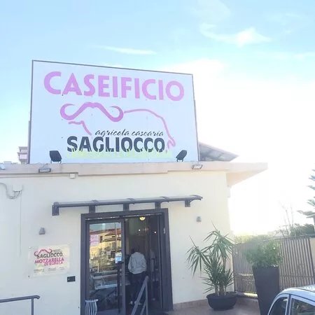 Agricola Casearia Sagliocco