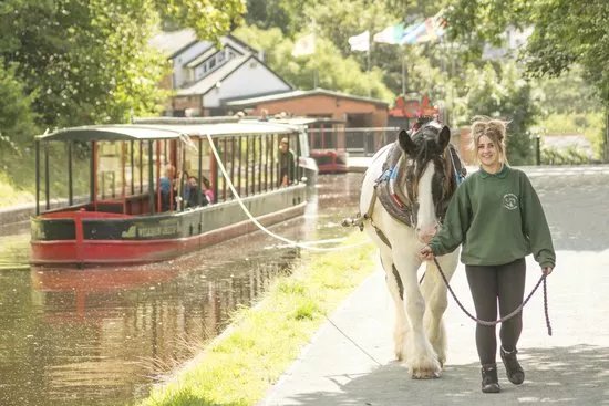 Llangollen Wharf Boat Trips