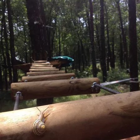Trieste Adventure Park