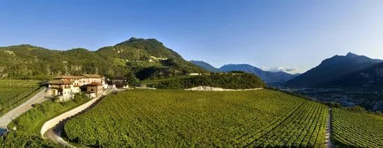 Cantine Moser