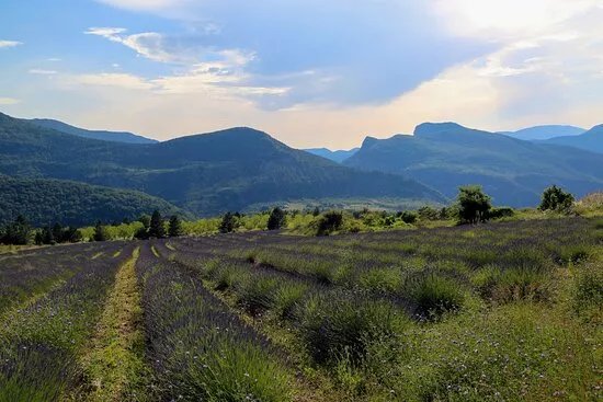 Wonders Of Provence Private Tours
