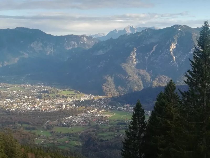 Zwieselalm