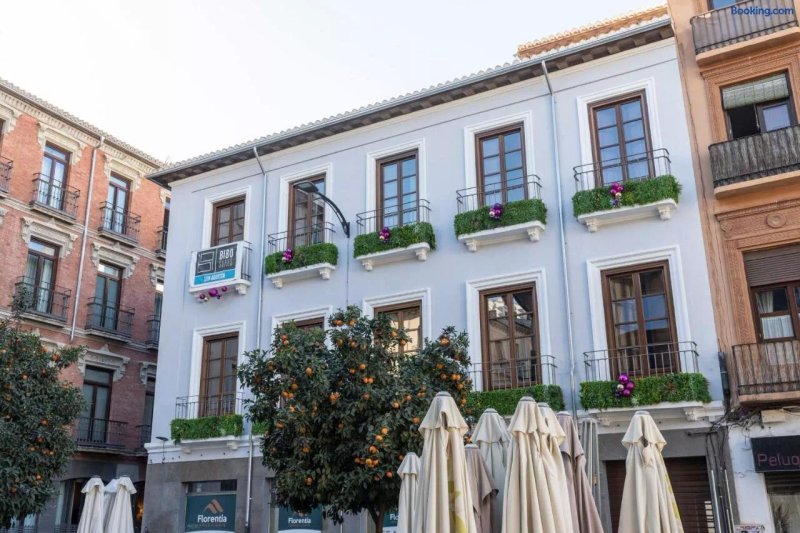 BiBo Suites San Agustín