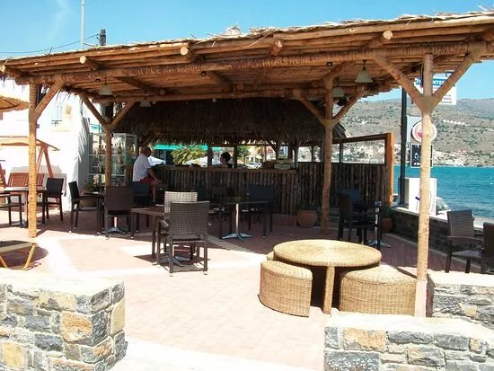 Jungle Bar