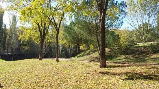 Trenet del Parc Catalunya