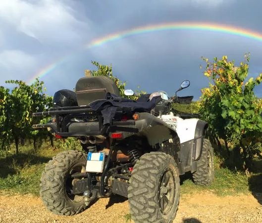 Crazy Quad Toscana