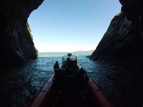 Falcon Boats
