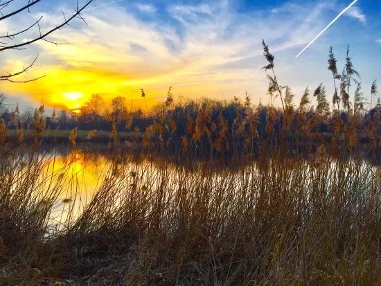 Silbersee