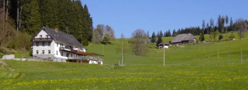 Gasthaus Pension Donishausle