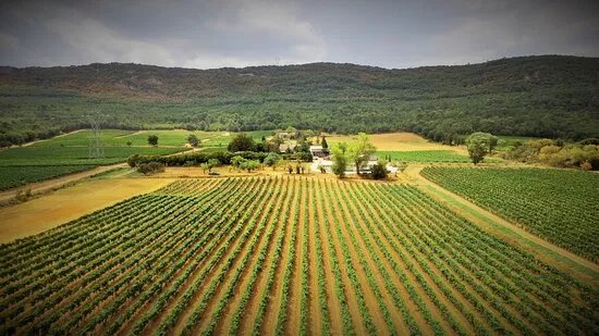 Domaine de la Mongestine