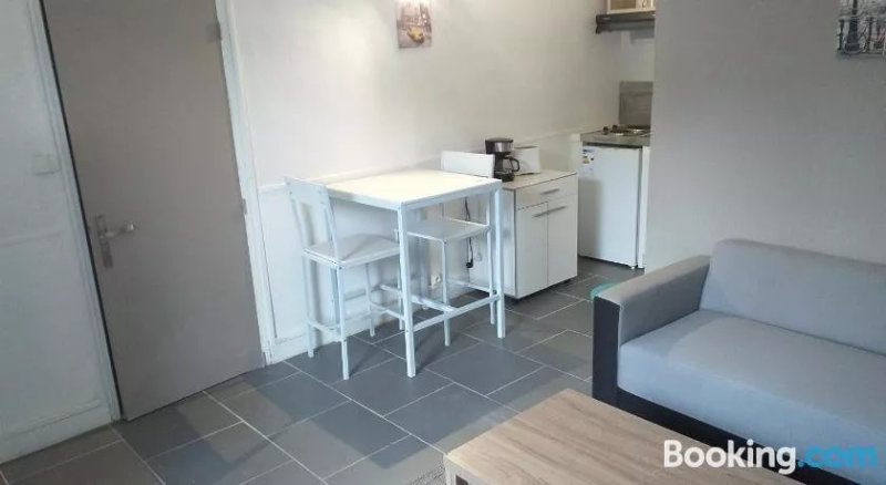 Bel Appartement A Tours