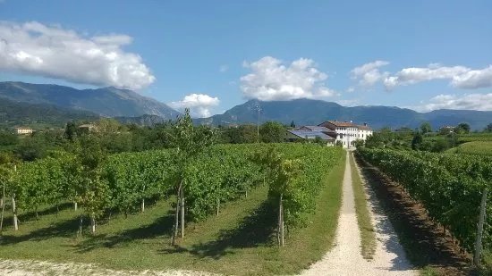 Toni Doro - Il Prosecco