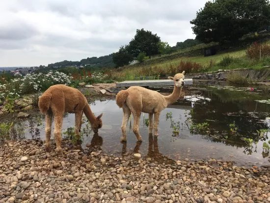 Holly Hagg Community Farm