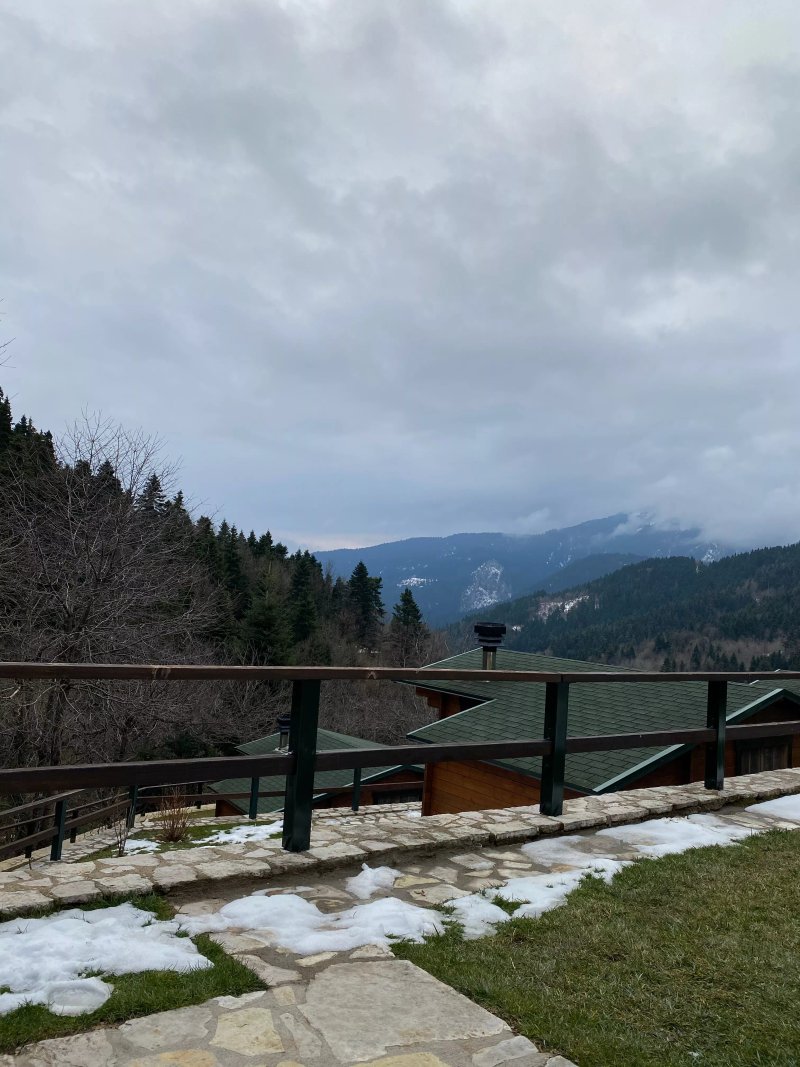 Wild Life Chalets